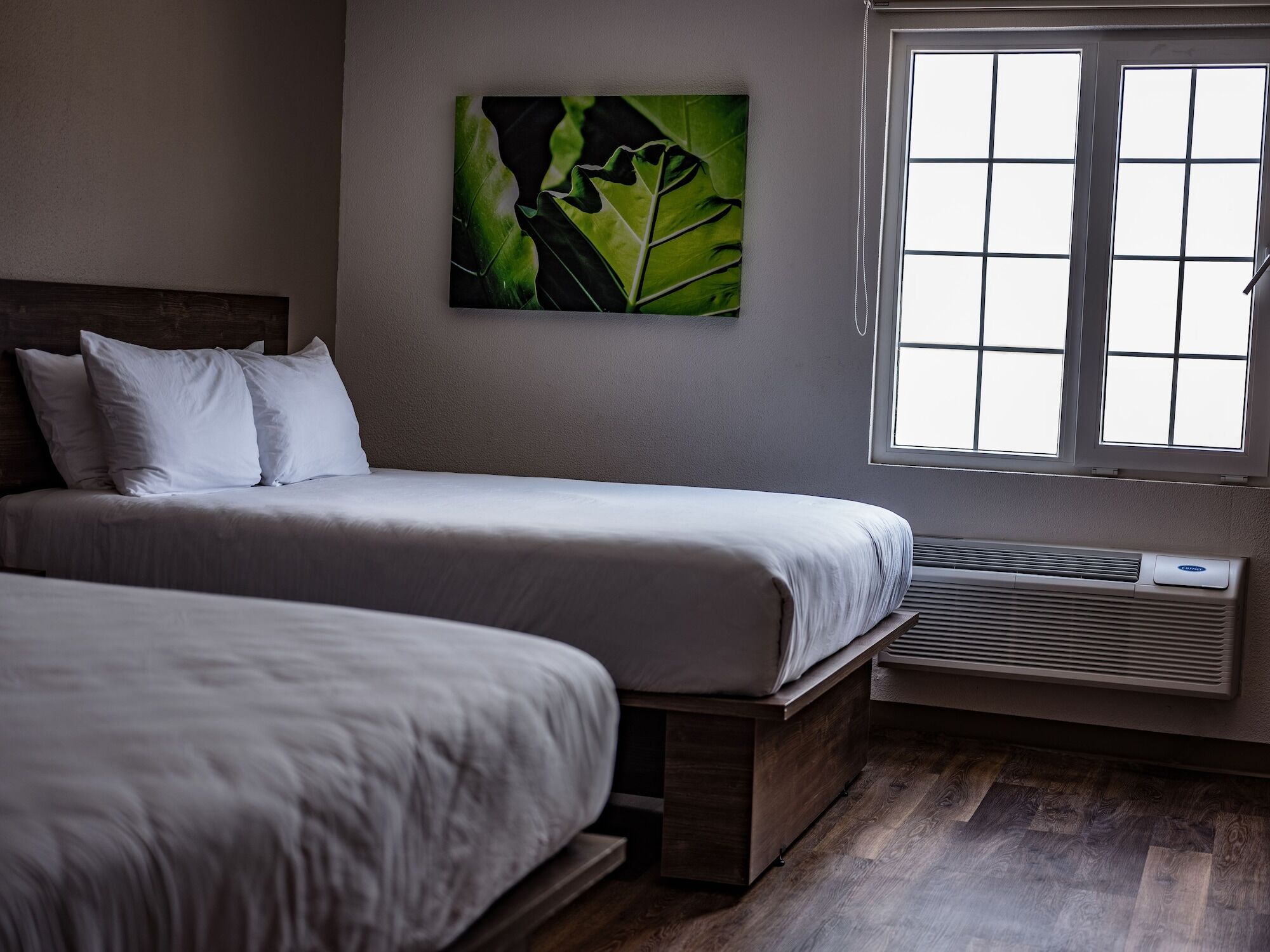 Extended Suites Saltillo Galerias Dış mekan fotoğraf